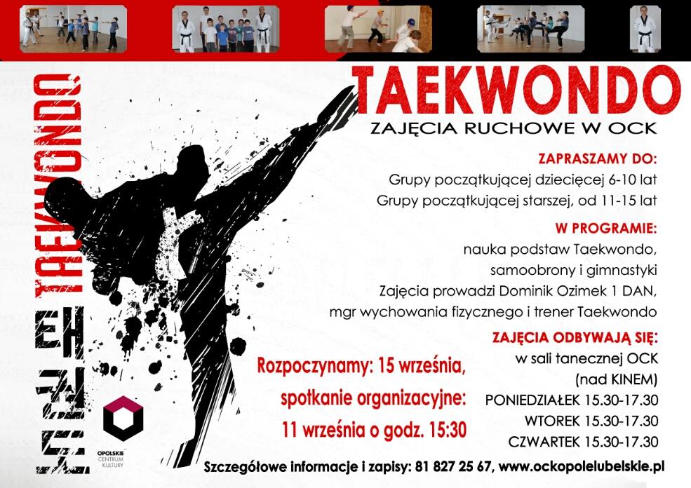 taekwondo taekwondo