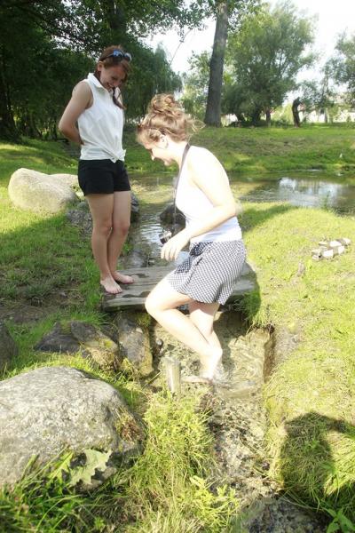 trip