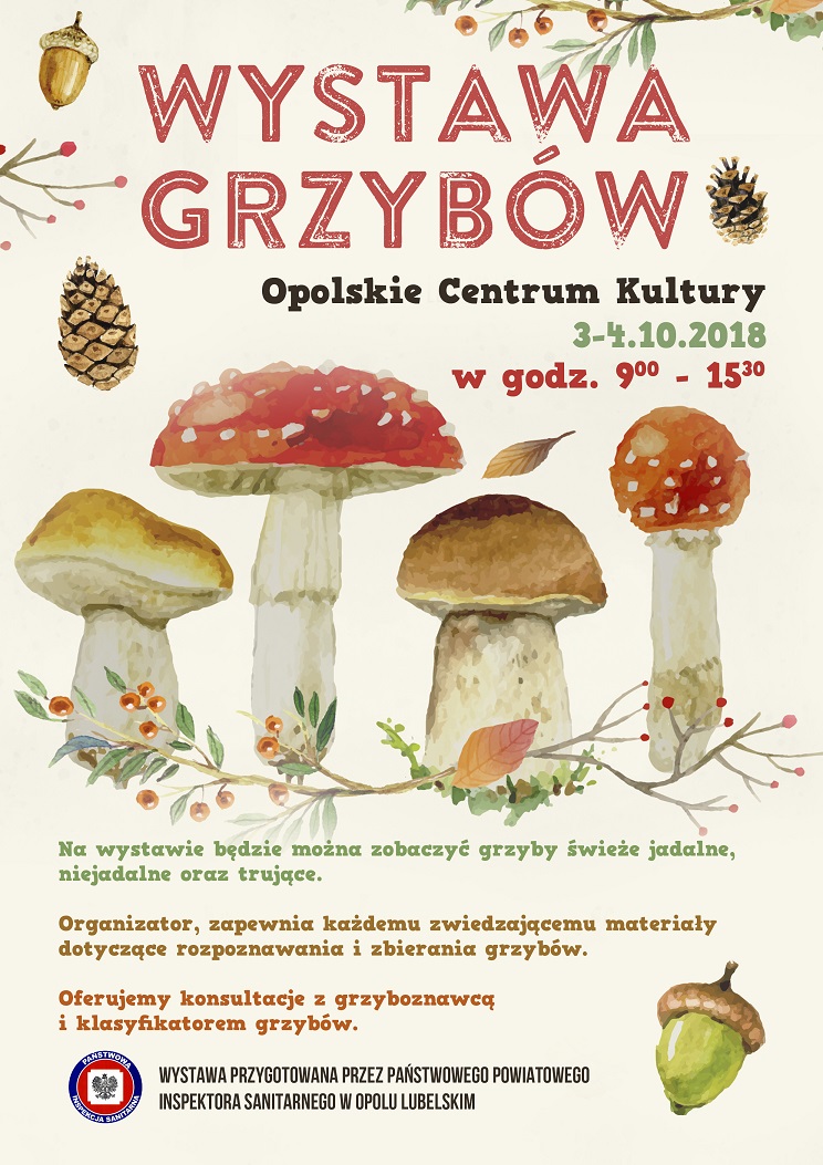plakat_wystawa_grzybow_3-4