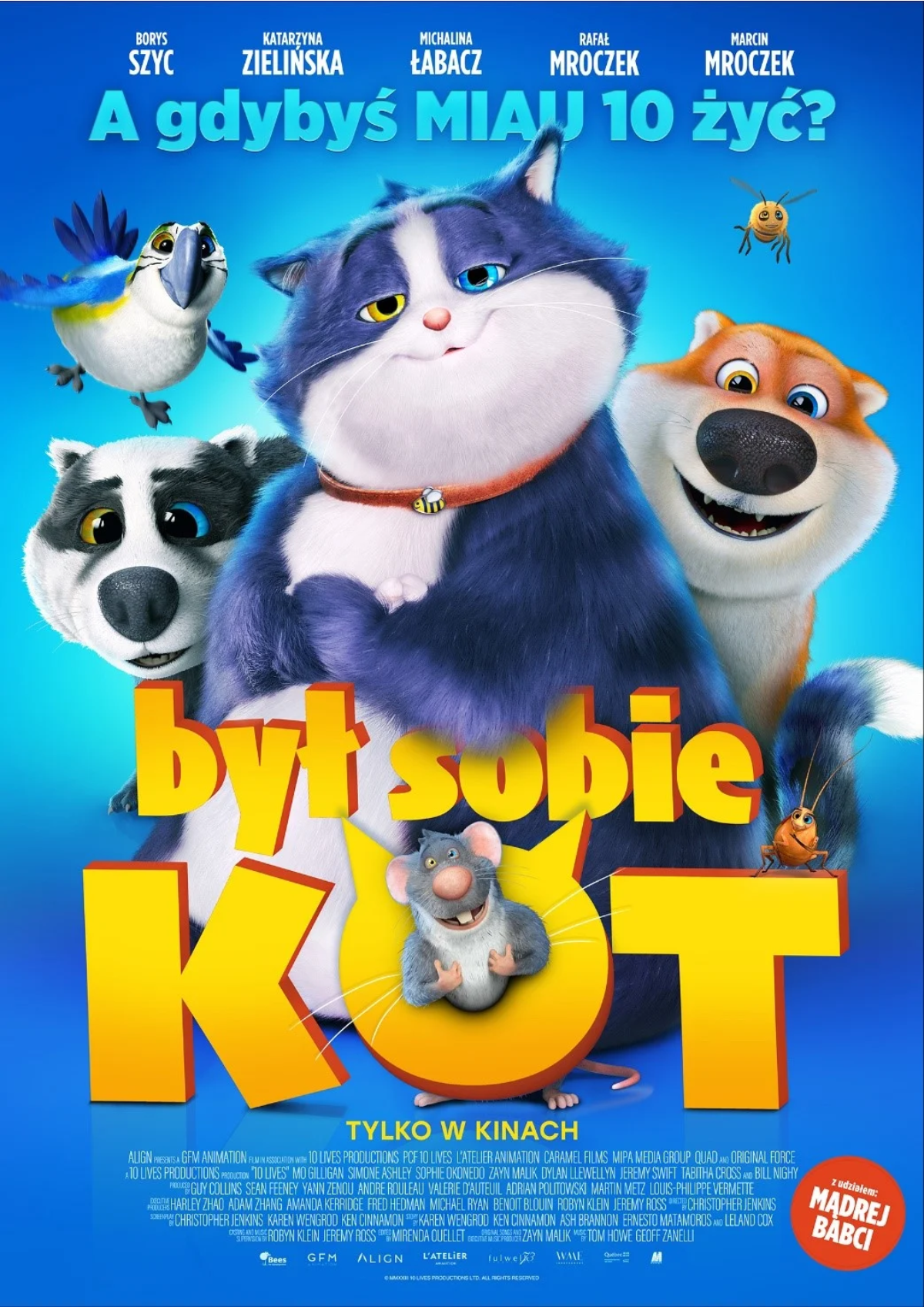 kot