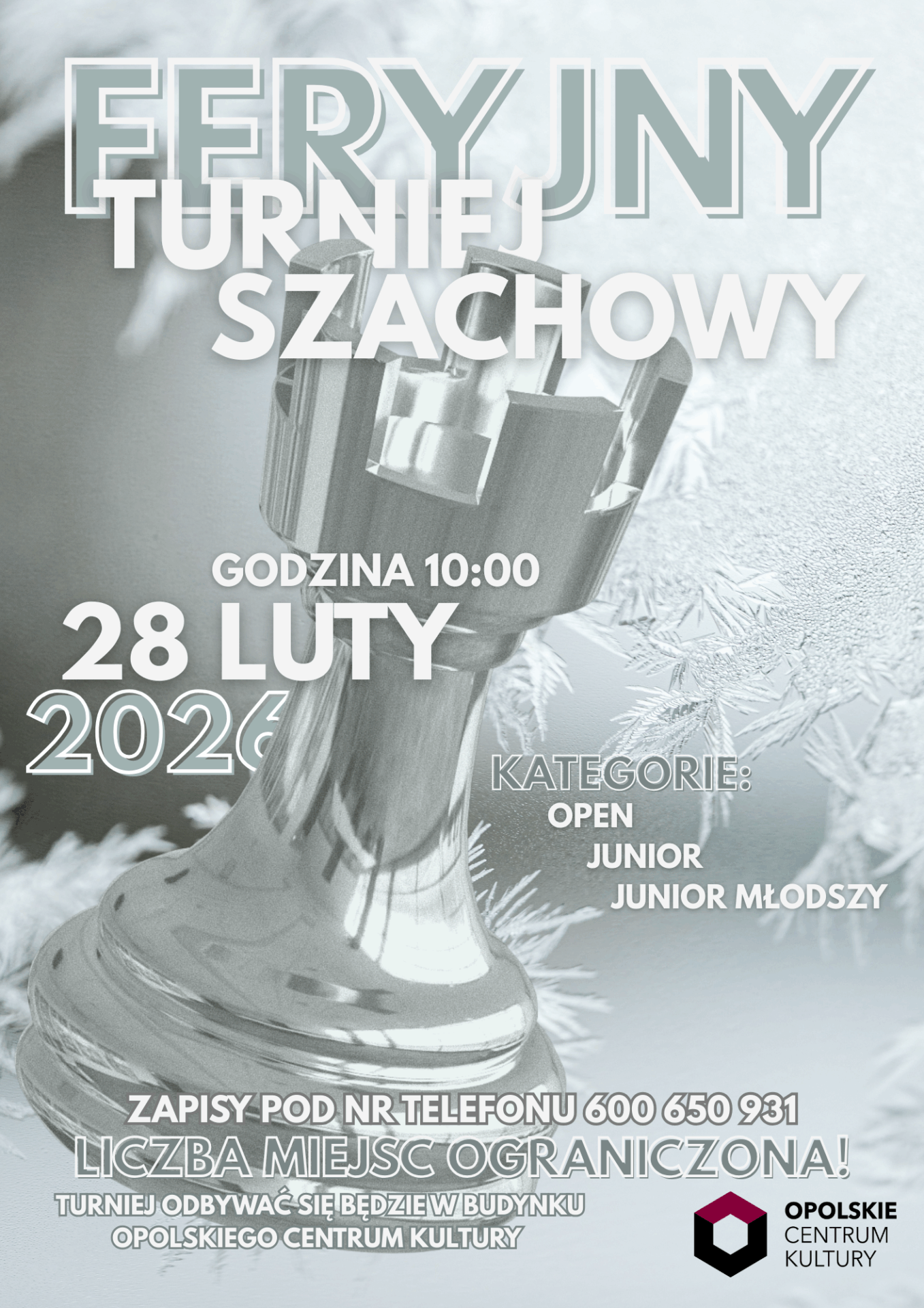 hess-2 plakat feryjnego turnieju szachowego
